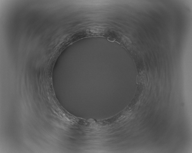 X0000052921009200507151545