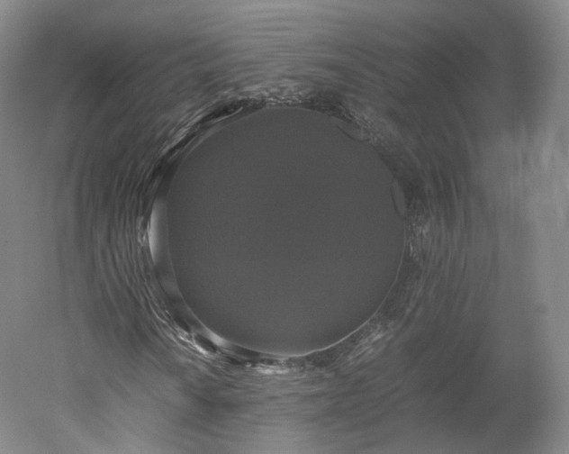 X0000052921010200507151545
