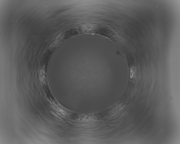 X0000052921011200507151545