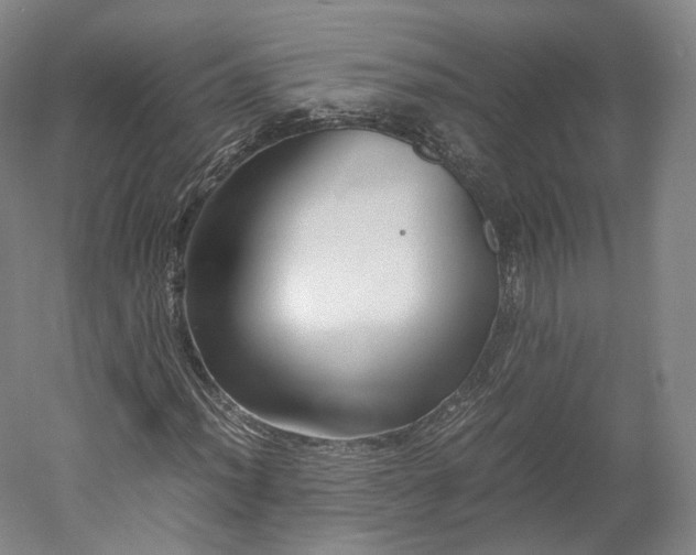 X0000052921012200507151545
