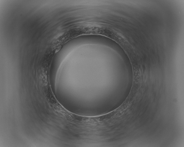 X0000052921013200507151545