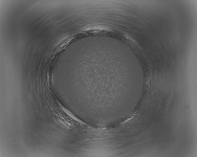 X0000052921014200507151545