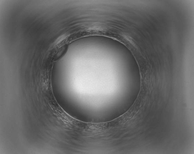 X0000052921015200507151545