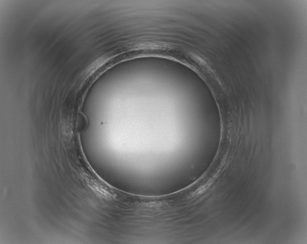 X0000052921017200507151545