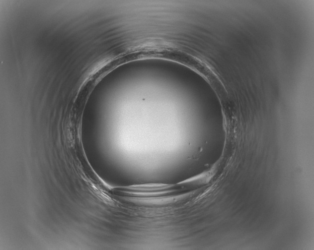 X0000052921018200507151545