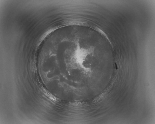 X0000052921019200507151545
