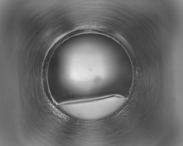 X0000052921020200507151545