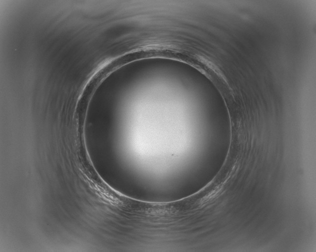 X0000052921021200507151545