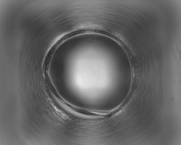 X0000052921022200507151545