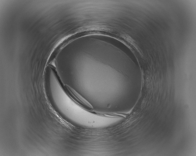 X0000052921024200507151545