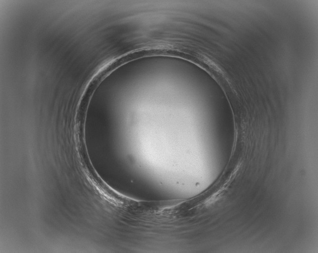 X0000052921029200507151545