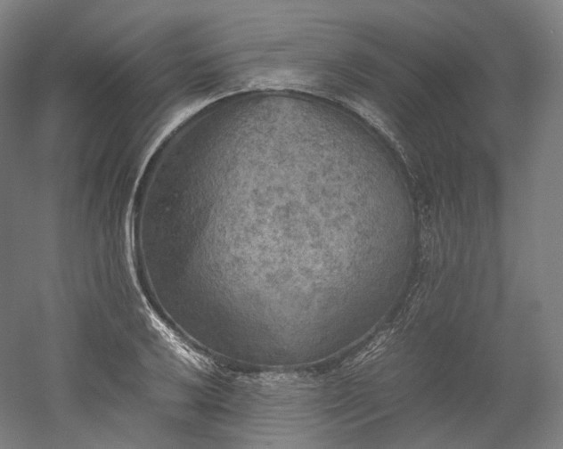 X0000052921032200507151545