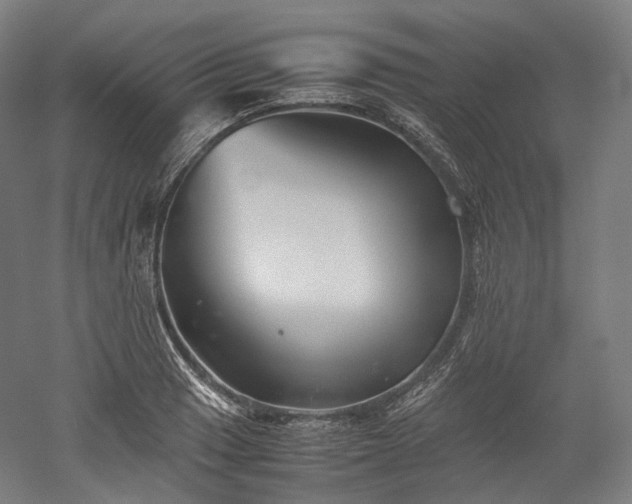 X0000052921033200507151545