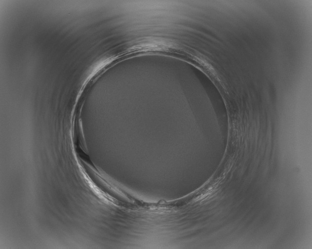 X0000052921034200507151545