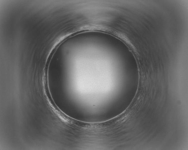 X0000052921040200507151545