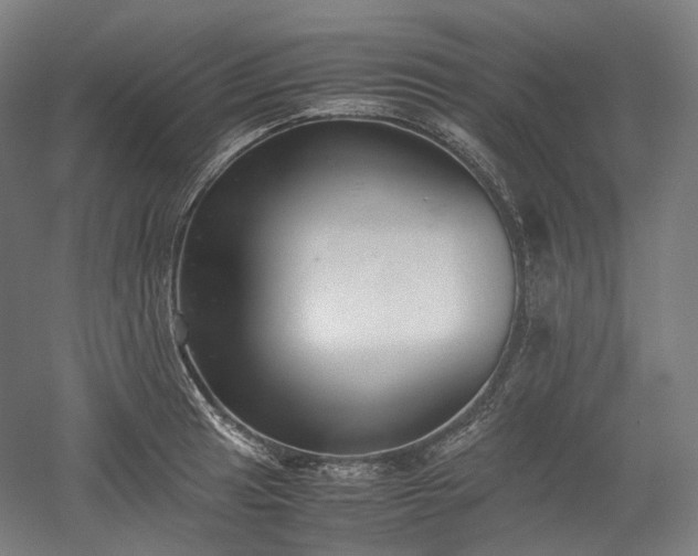 X0000052921041200507151545