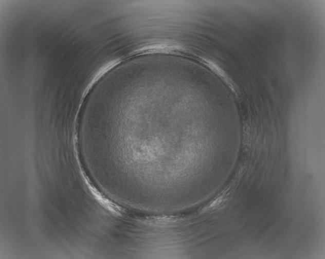 X0000052921042200507151545