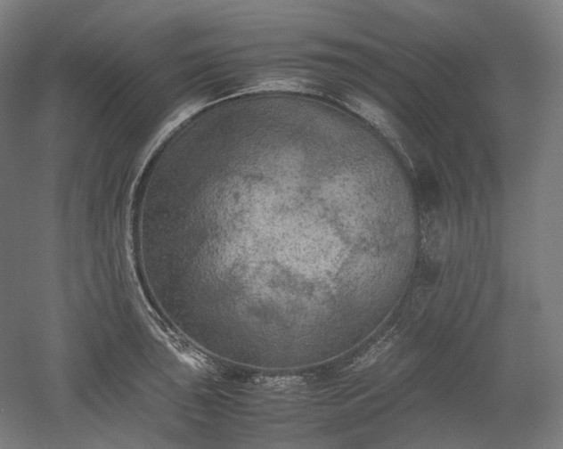 X0000052921043200507151545