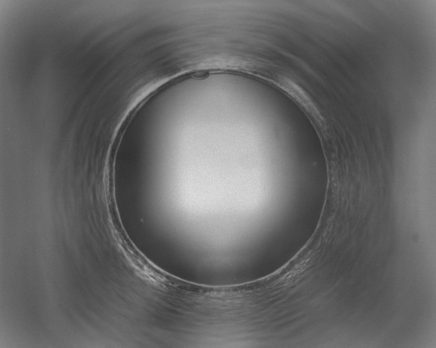 X0000052921044200507151545