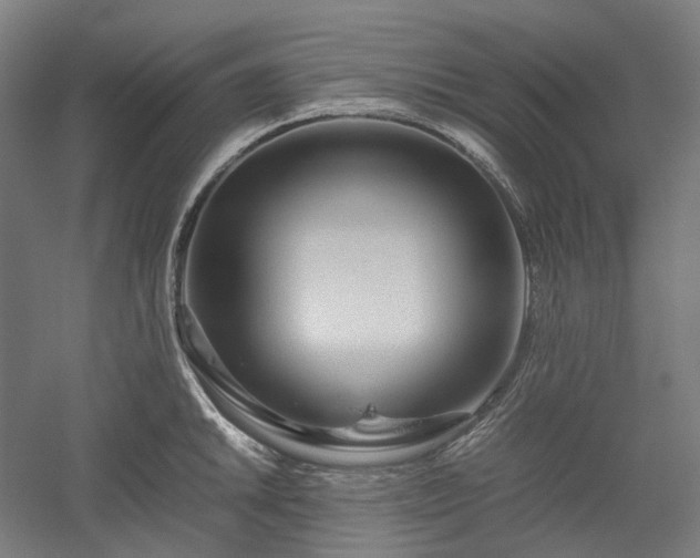 X0000052921046200507151545