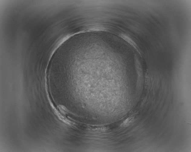 X0000052921047200507151545