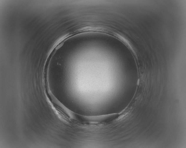 X0000052921050200507151545