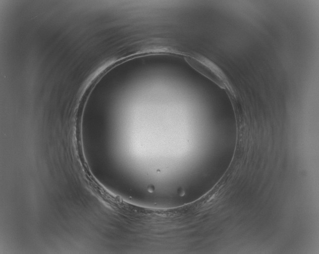 X0000052921051200507151545