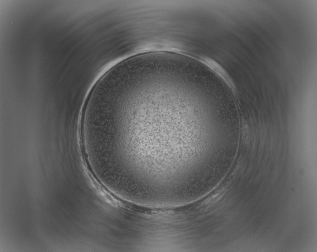 X0000052921052200507151545