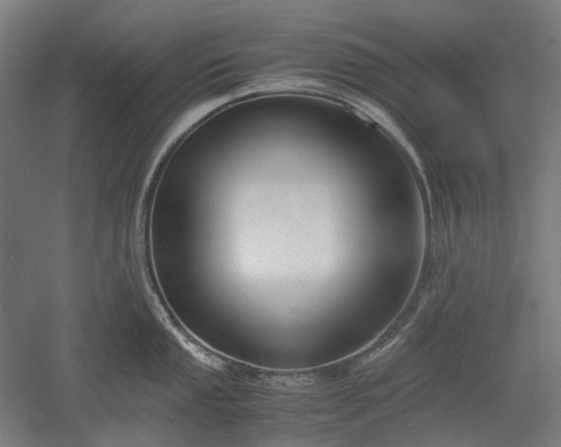 X0000052921053200507151545