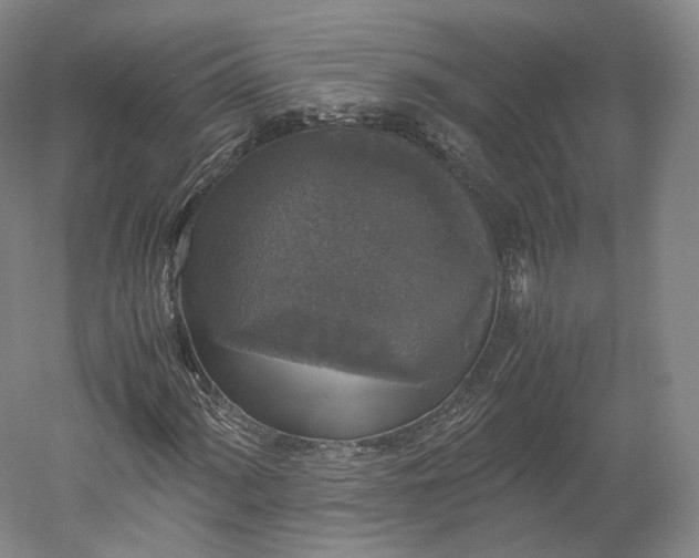 X0000052921060200507151545
