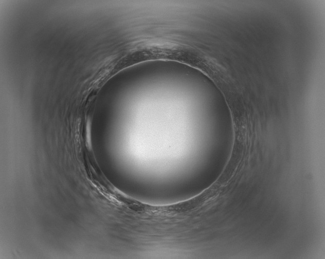 X0000052921061200507151544