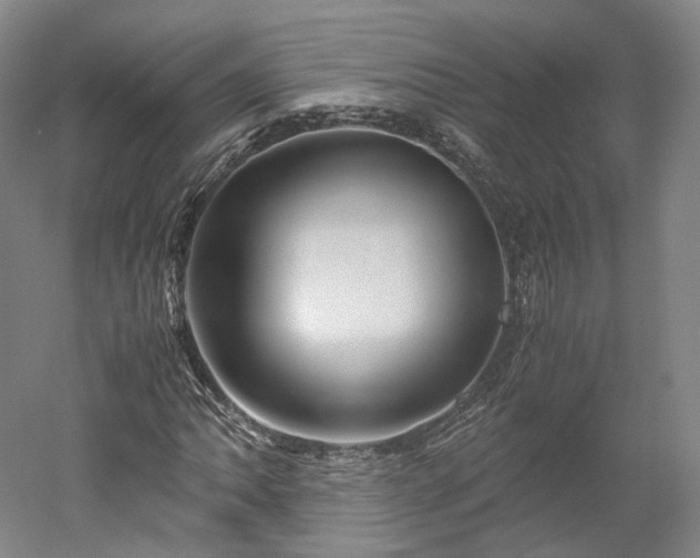 X0000052921062200507151544