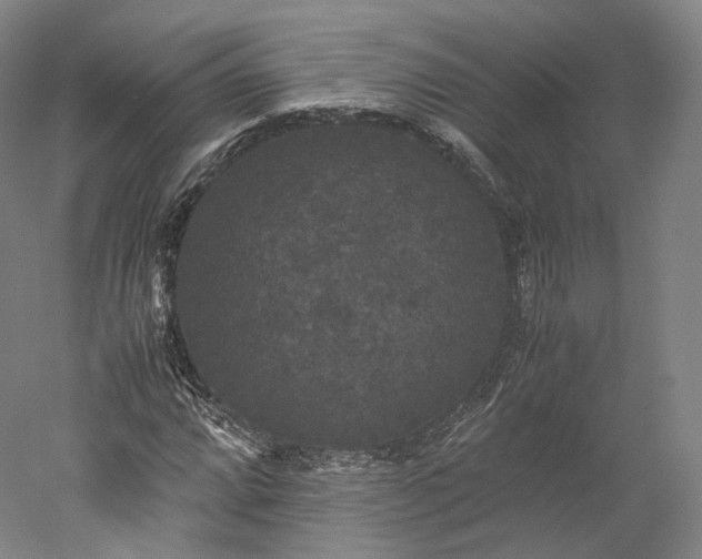 X0000052921064200507151544