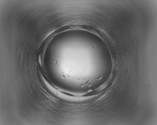 X0000052921065200507151544