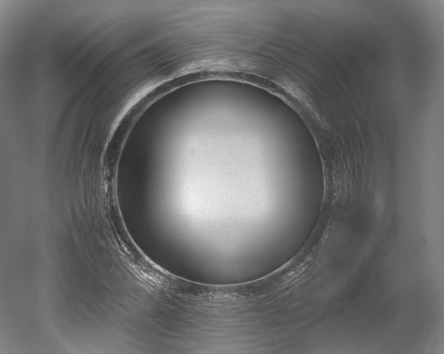 X0000052921070200507151544