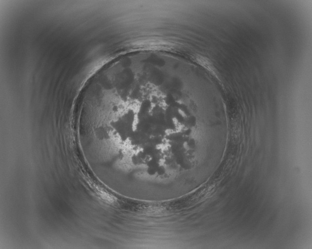 X0000052921071200507151544