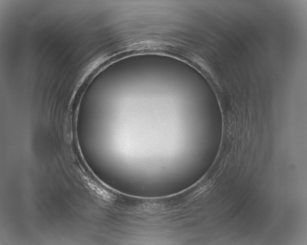 X0000052921075200507151544
