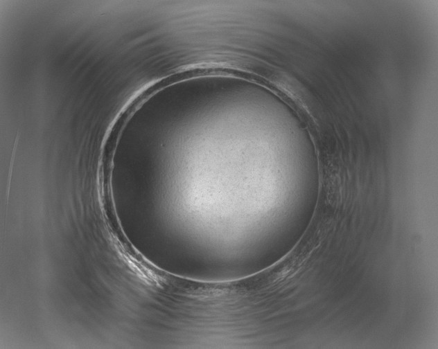 X0000052921076200507151544