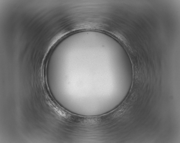X0000052921078200507151544
