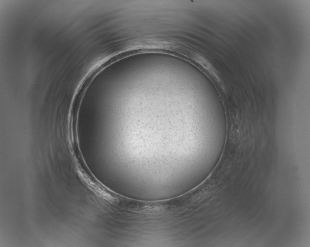 X0000052921080200507151544
