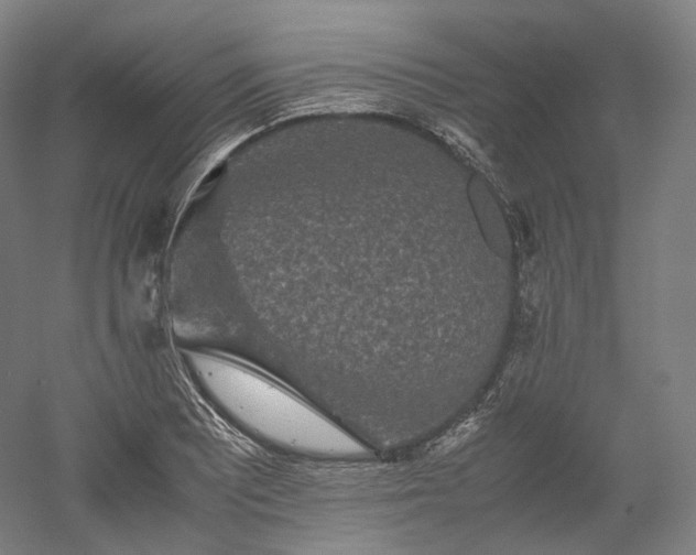 X0000052921081200507151544