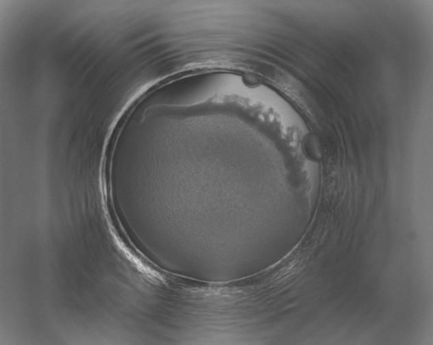 X0000052921084200507151544