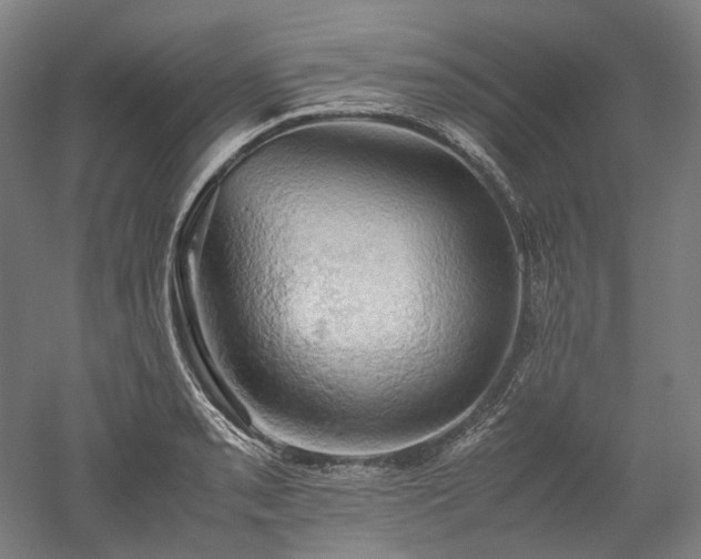 X0000052921085200507151544
