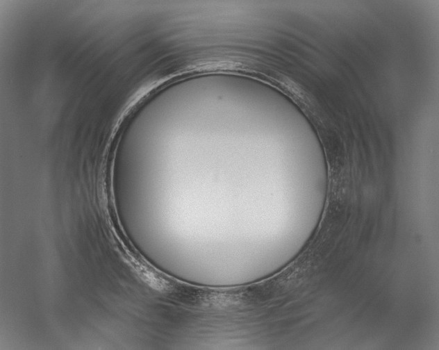 X0000052921086200507151544