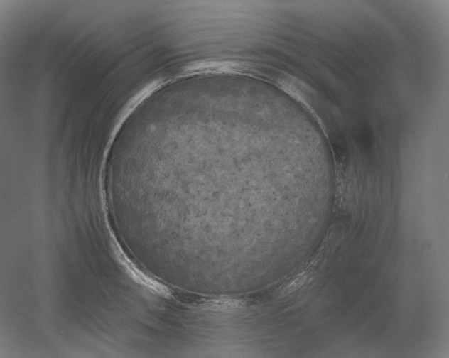 X0000052921090200507151544