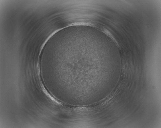 X0000052921092200507151544