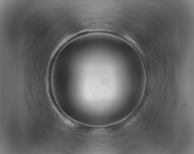 X0000052921093200507151544
