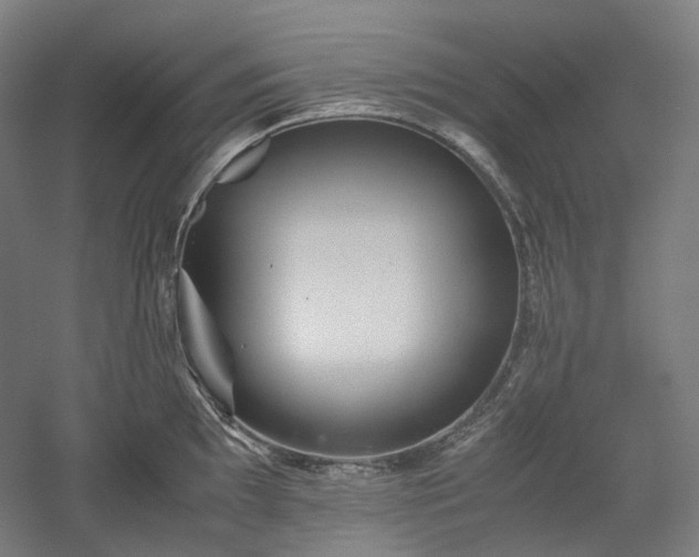 X0000052921097200507151544