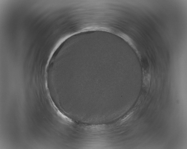 X0000052921102200507151544