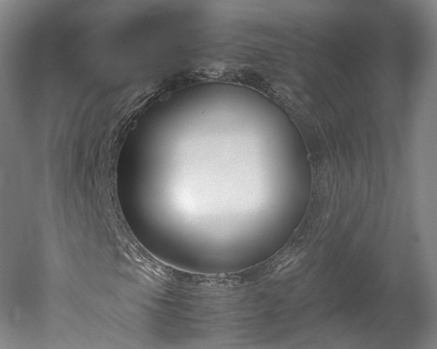 X0000052921105200507151543